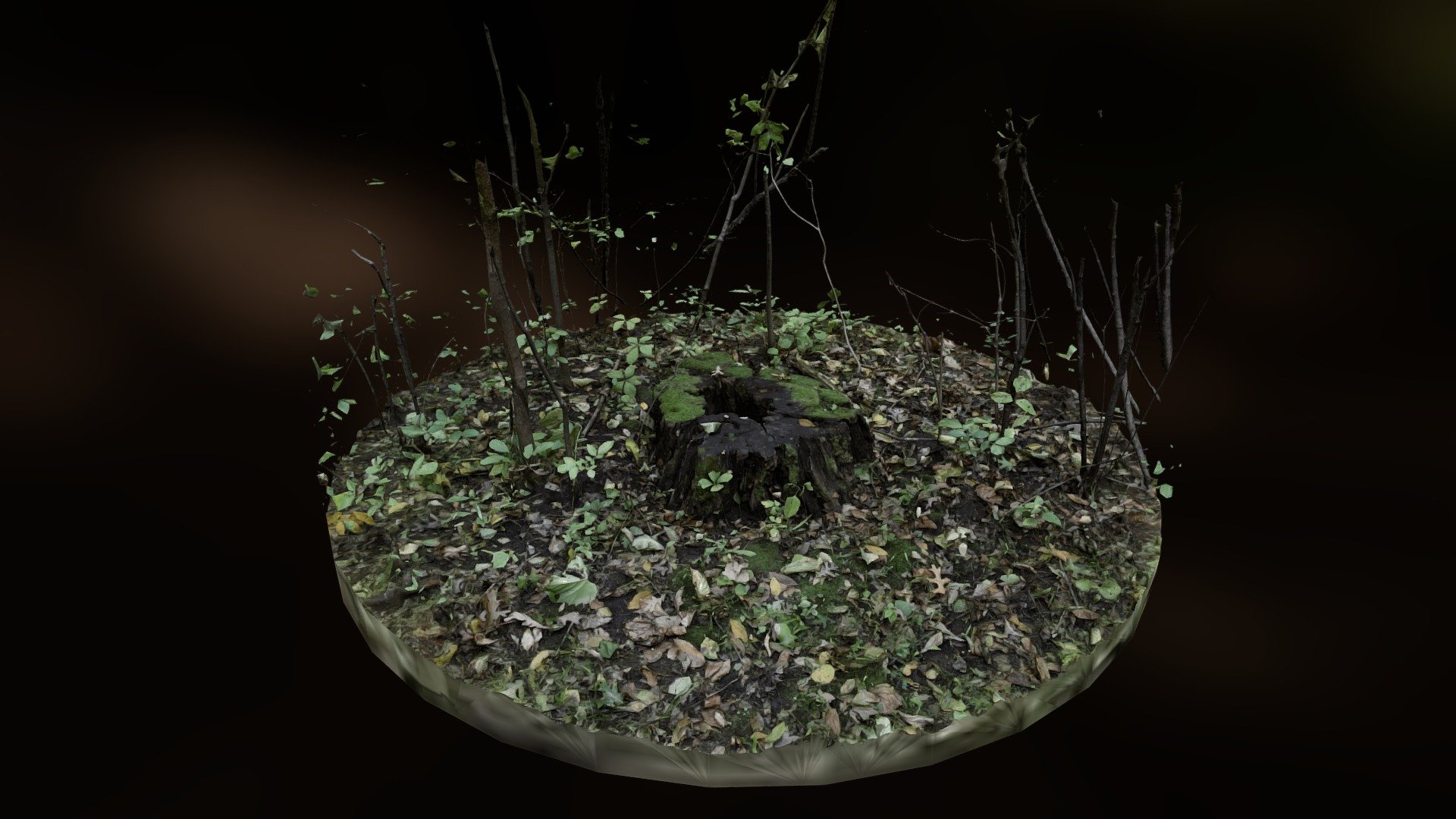 Stumps of the Twin Cities: Theodore Wirth