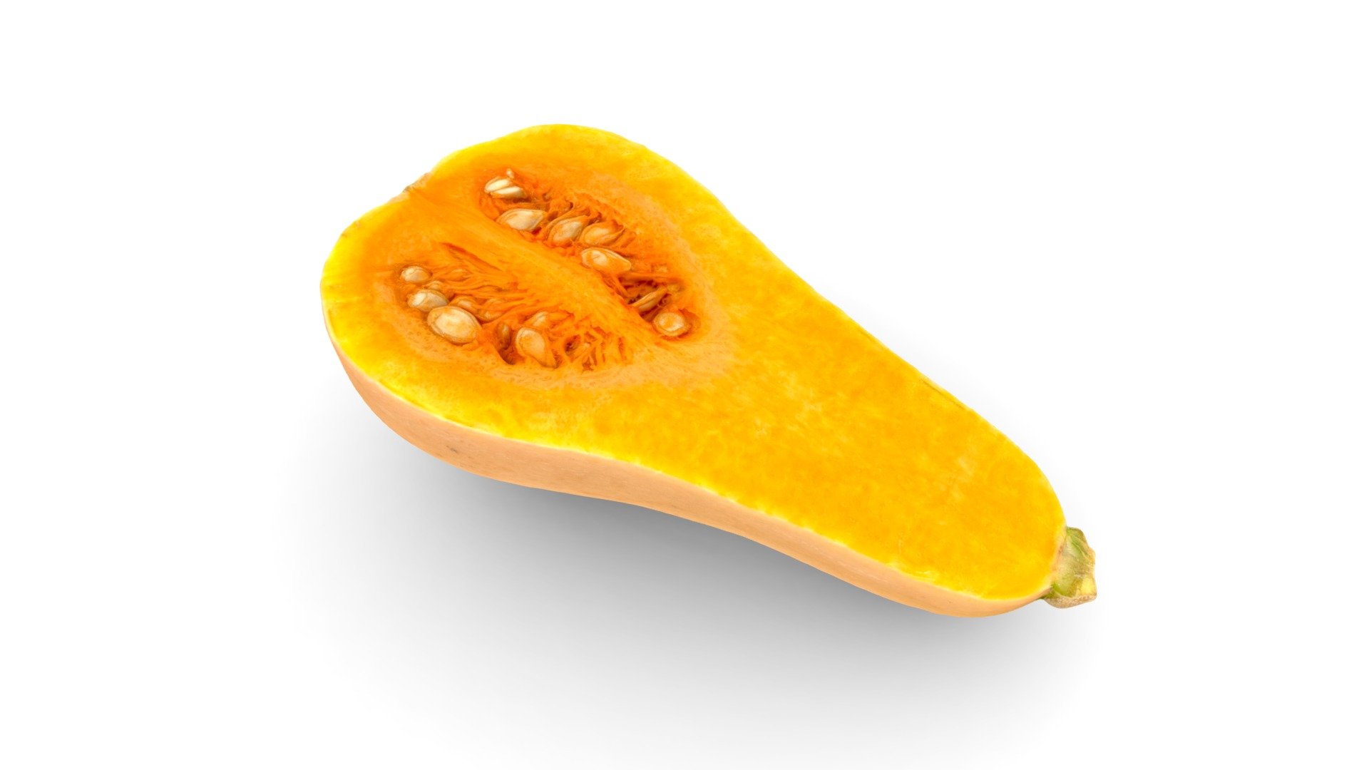 Butternut Squash half 1 バターナッツかぼちゃ