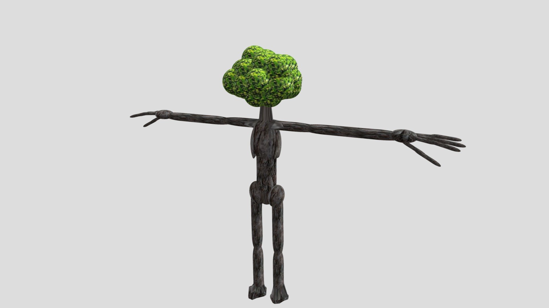 The light oak Wanderer tree