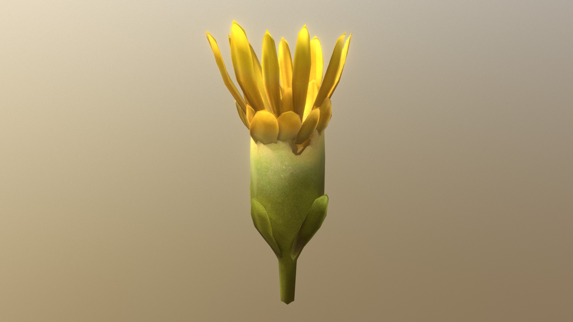 3D model Goldenrod Blossom - This is a 3D model of the Goldenrod Blossom. The 3D model is about a yellow flower with green leaves.