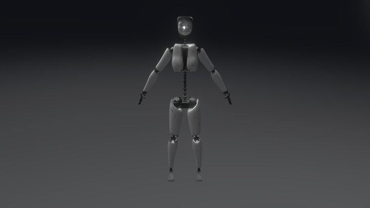 Female Cyborg 3D Model