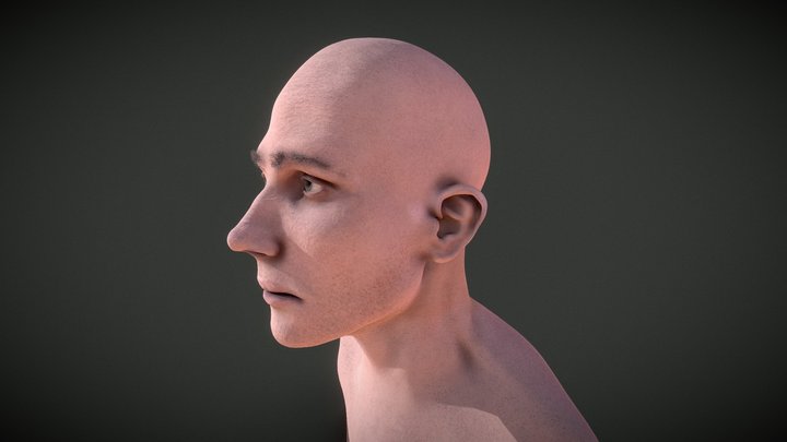 Face Sculpt 3D Model
