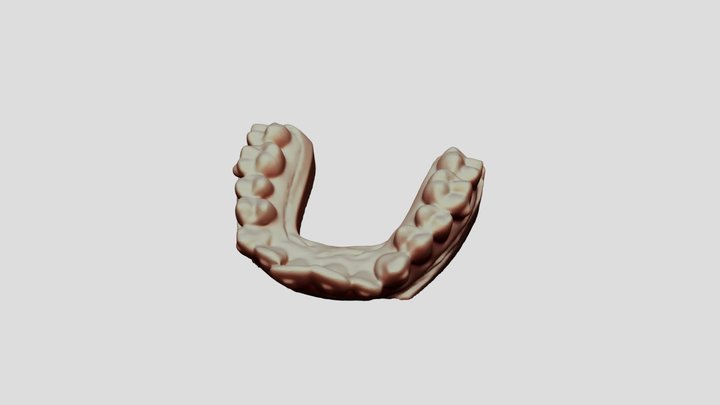 MisaZubyHorni 3D Model