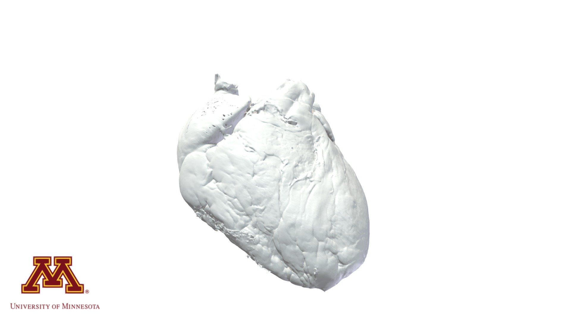 Heart0103