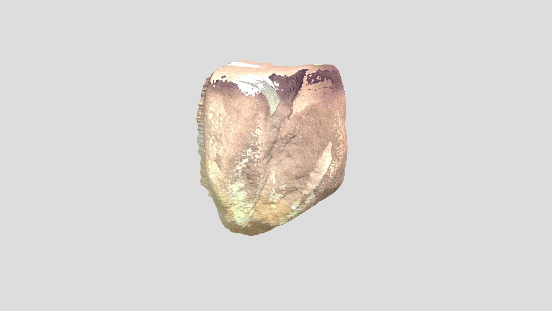Sample S51a