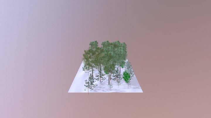 Environnement 3D Model