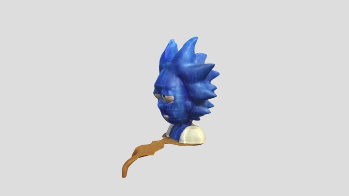 Rick scan from Polycam 3D Model