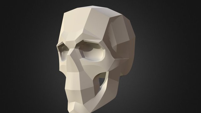 Skull Planar 3D Model