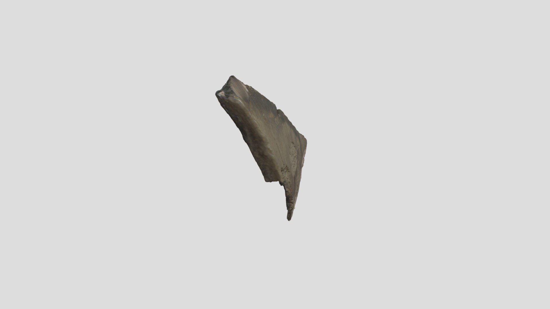 005 Pottery fragment, rim - 3D model by Archaeology at UiT ...