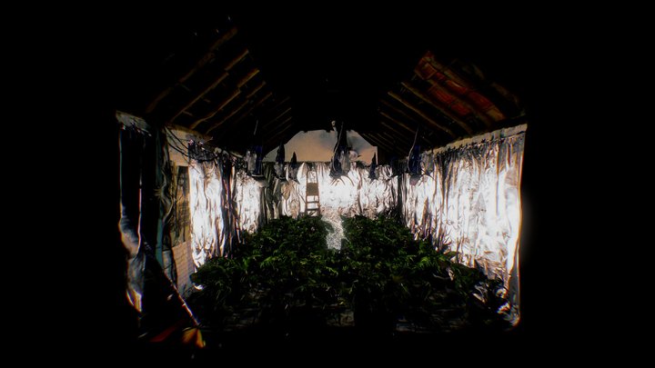 The Industry: JP, home grower 3D Model