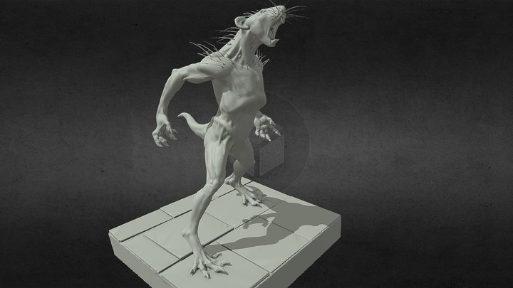 Rat Low Uv 3D Model