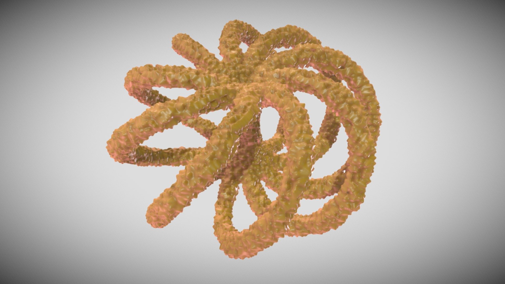 TORUS KNOT Star Fish