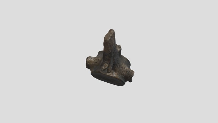 Mosasaurus Vertebra 3D Model