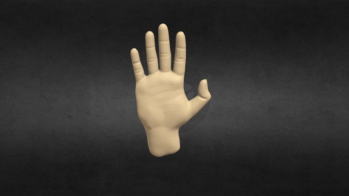 Hand Animation 3D Model