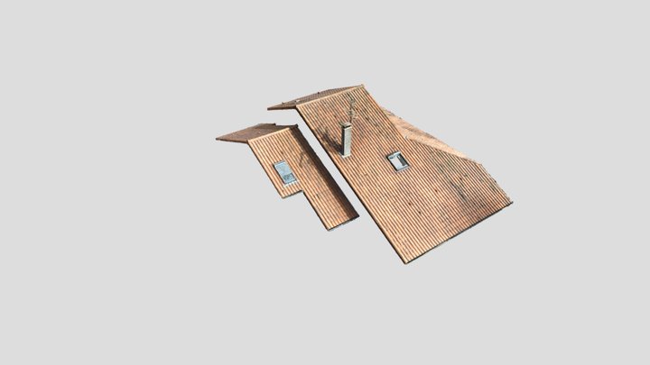 Toit_IE_GLOB_ver01 3D Model