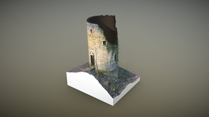 Tour du Crâny 3D Model