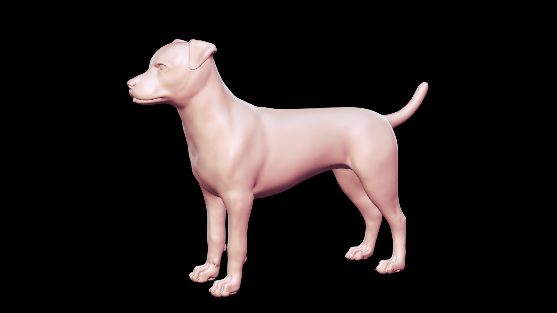 Patterdale Terrier Base Mesh 3D Model - Buy Royalty Free 3D model by ...