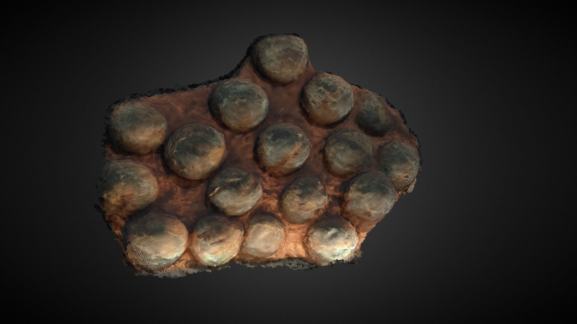 Fossil eggs