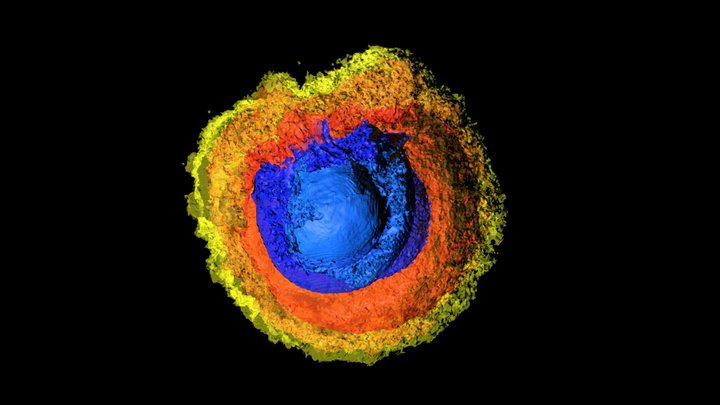 TwoExp supernova 3D Model