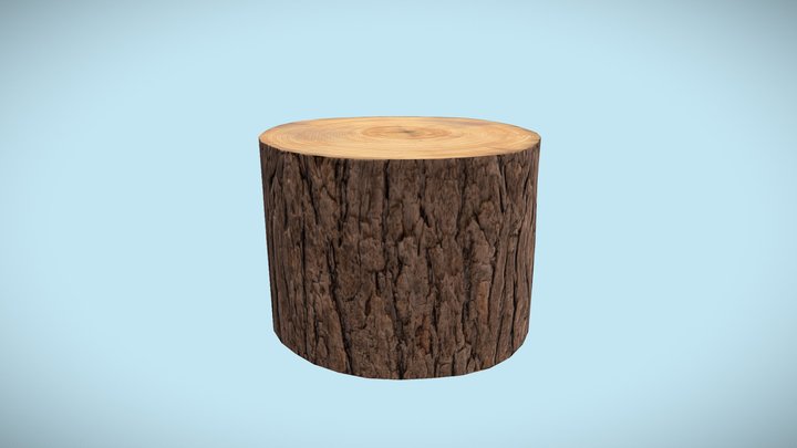 Log Stump 3D Model