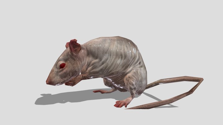 Rat – Stylized Animated 3D Model – Modello 3D gratuito STL