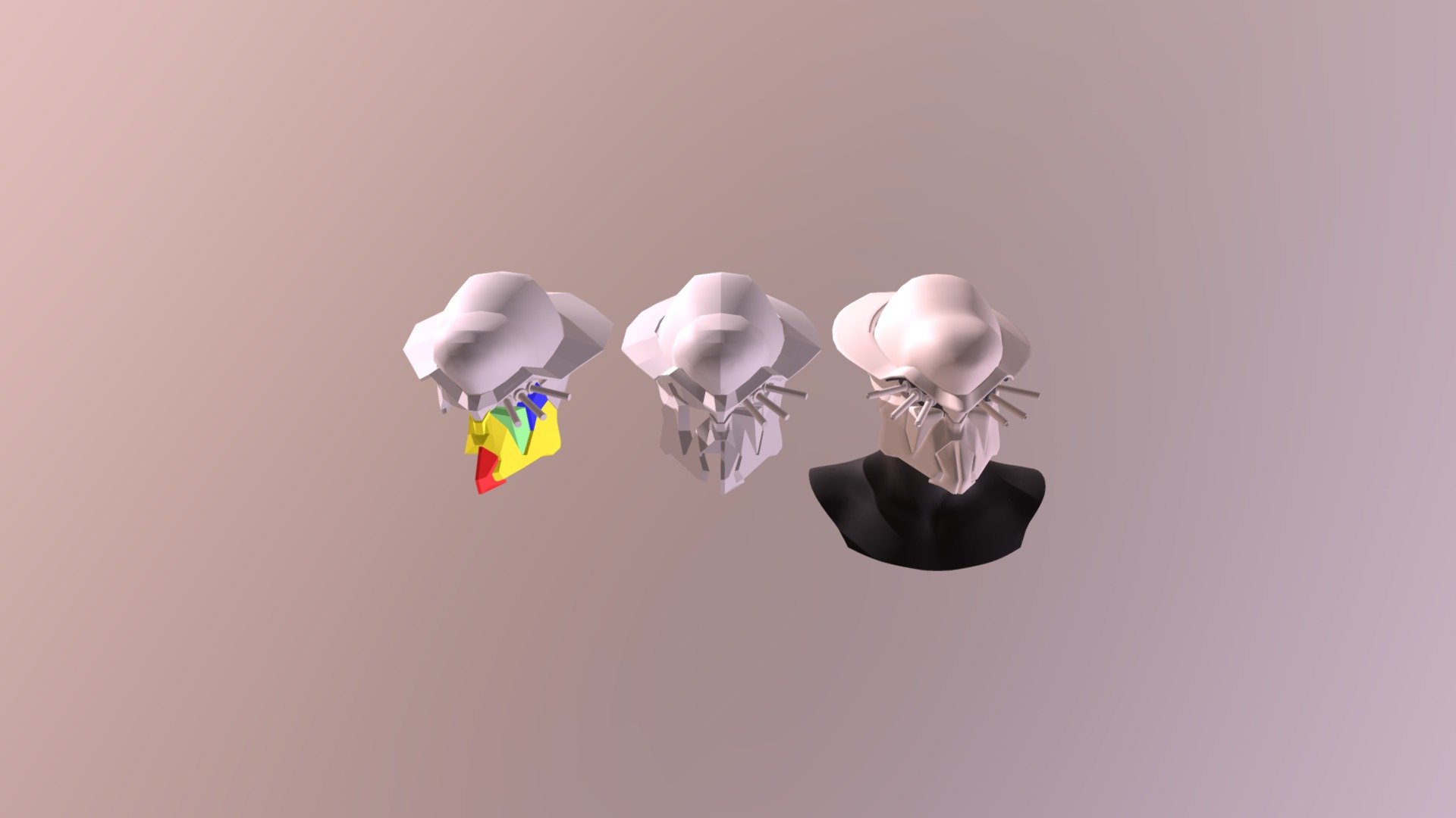 Helmet