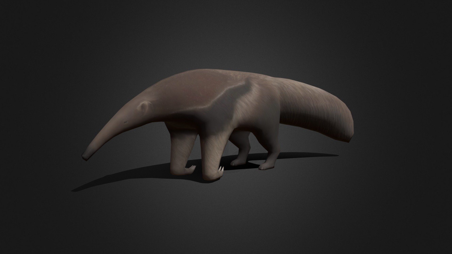 Anteater