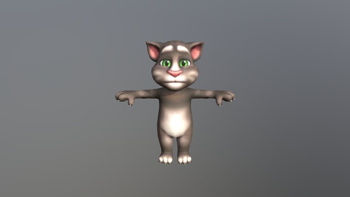 TOM 3D Model