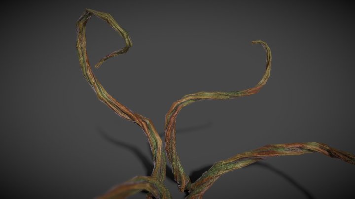 Aaron project - Roots – Kostenloses 3D-Modell STL