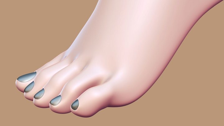foot 3D Model