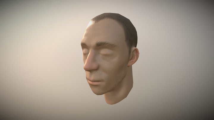 Quick Head 3D Model