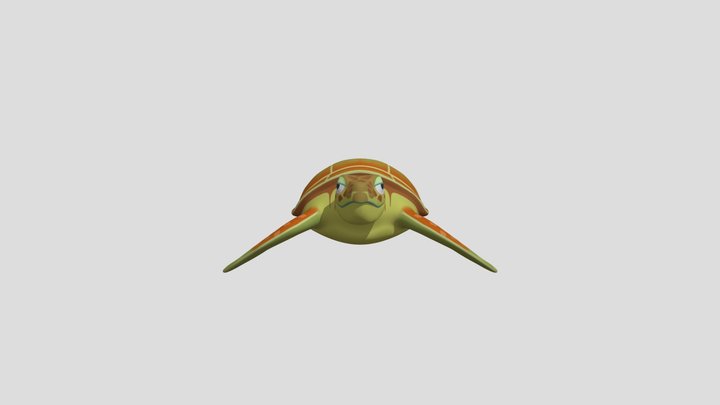 🐢 3D Sea Turtle Model 3D Model
