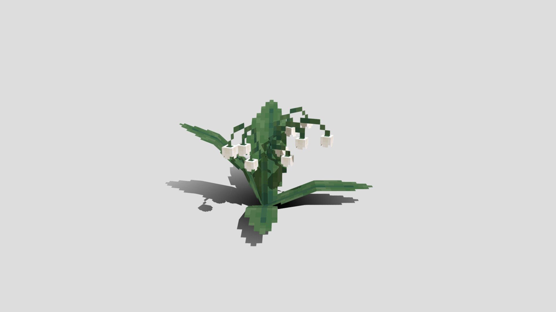 Lily of the Valley - 3D model by imrielle [3cadc44] - Sketchfab