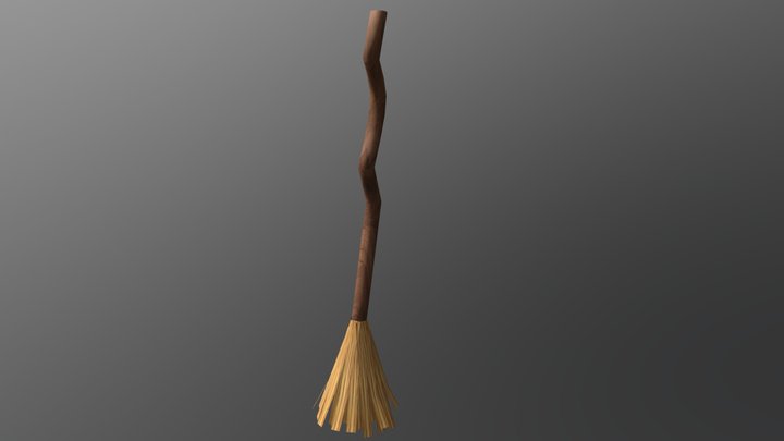 CGT 241 Broom 3D Model