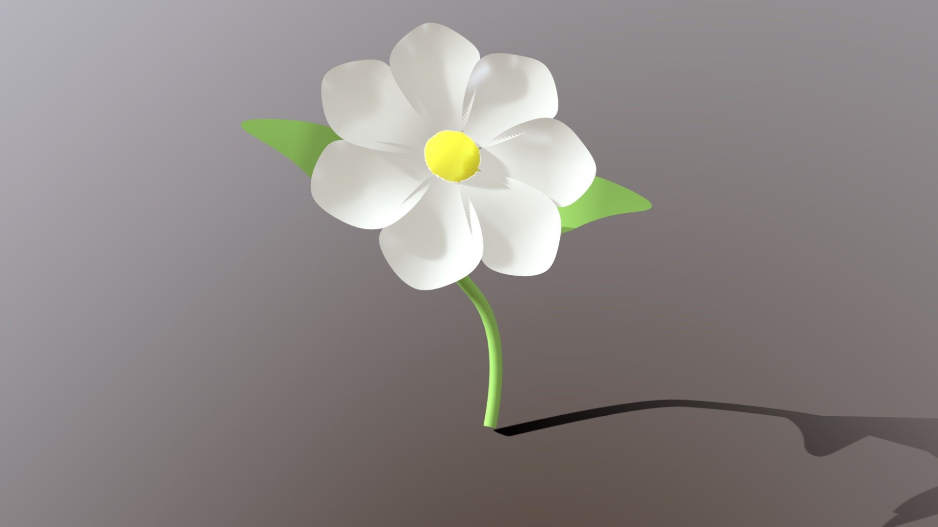 Flower20