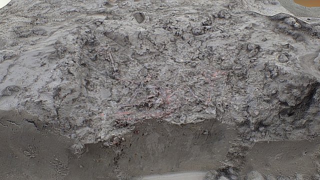 bird buried in pit