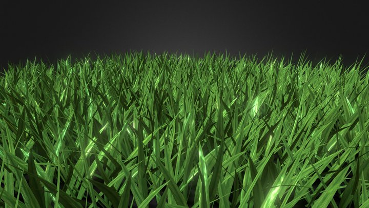 Grass floor 3D Model