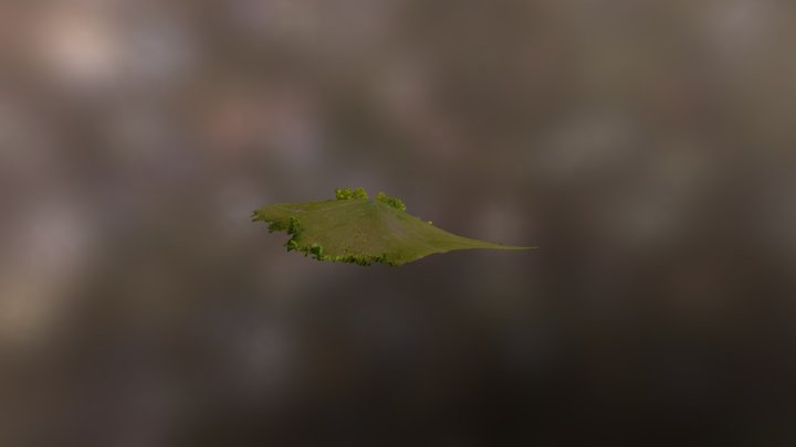 Butte Pix4d Simplified 3d Mesh 3D Model