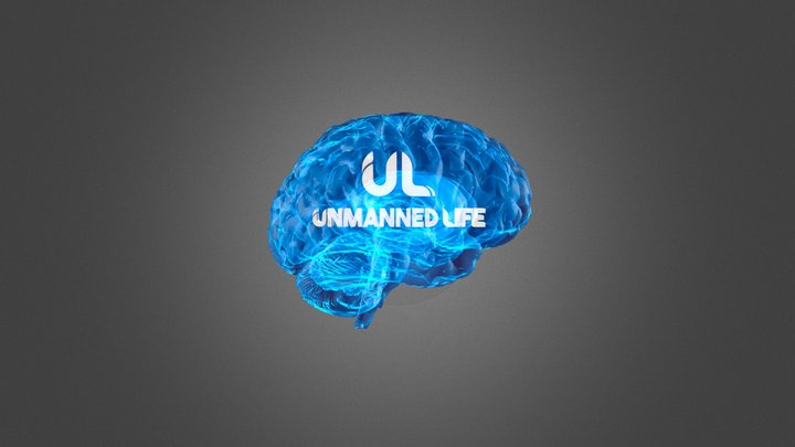 UL Brain 3D 3D Model
