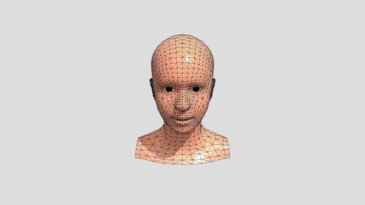 human female 3D Model
