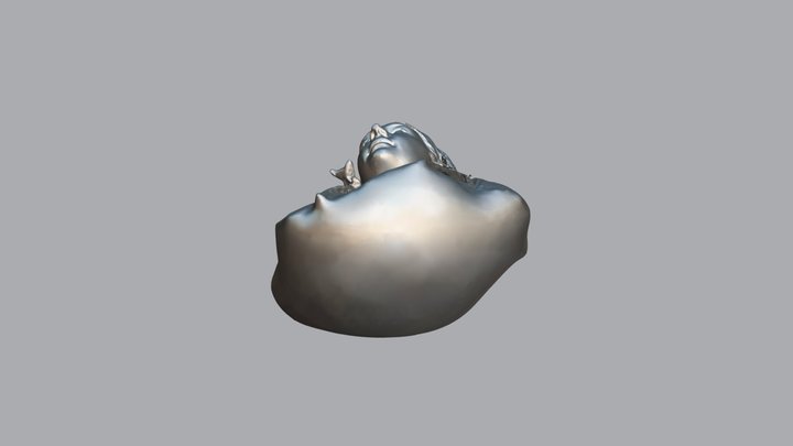 RHNDP022 3D Model