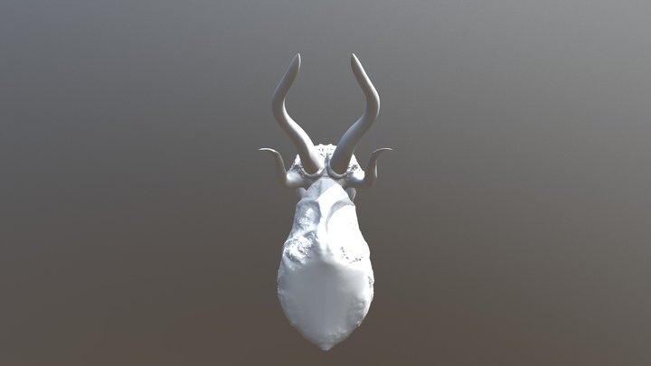 Dragon Bust 3D Model