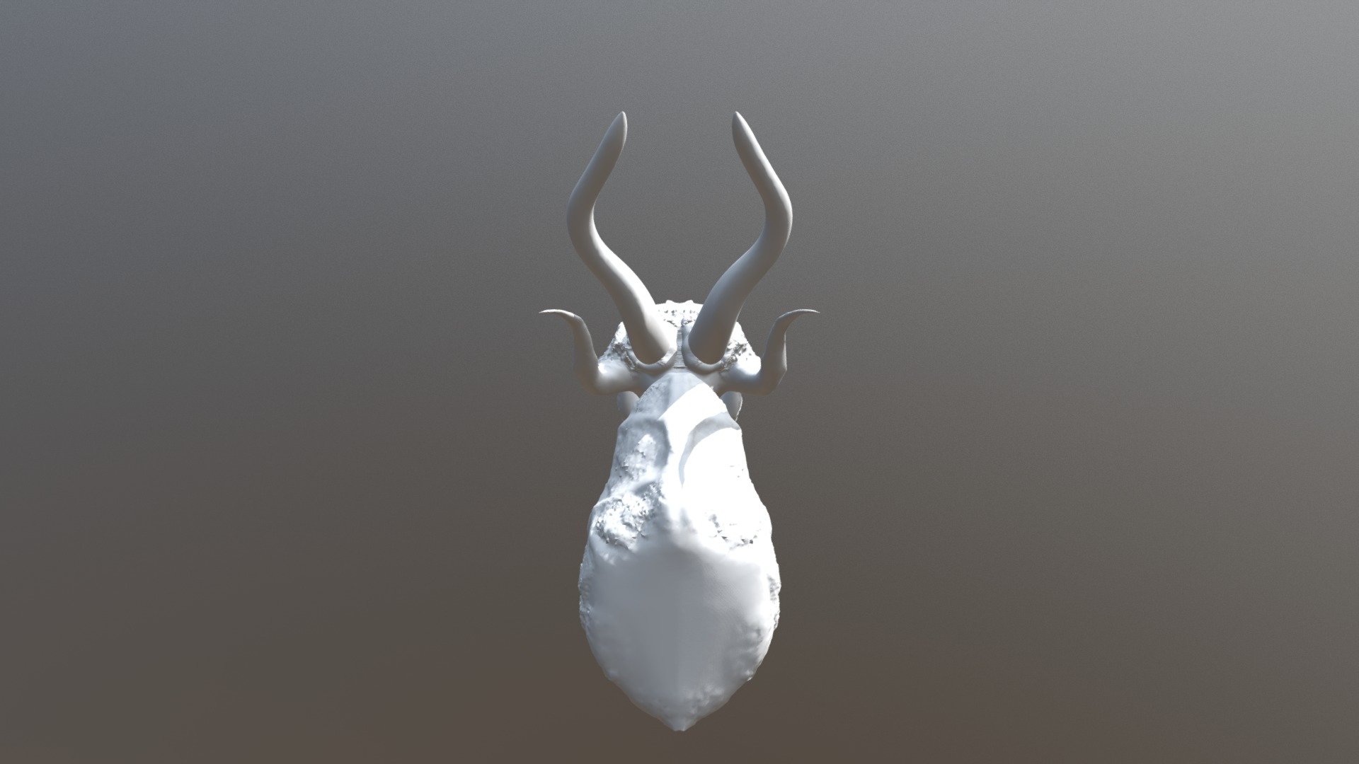 Dragon Bust