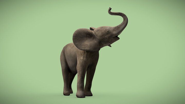 elephanteau 3D Model