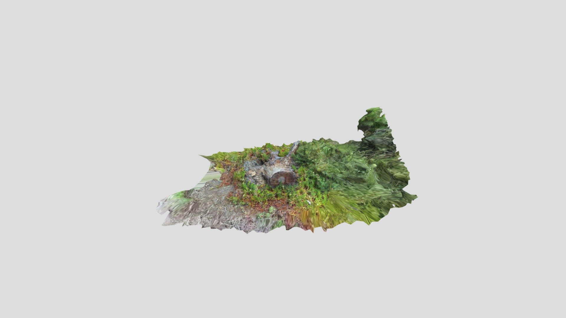 Tronco-de-arvore