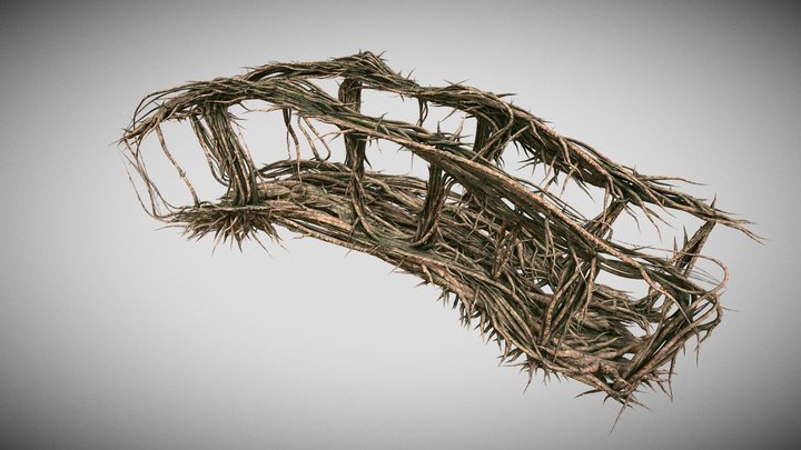 Small Bridge Made Of Roots