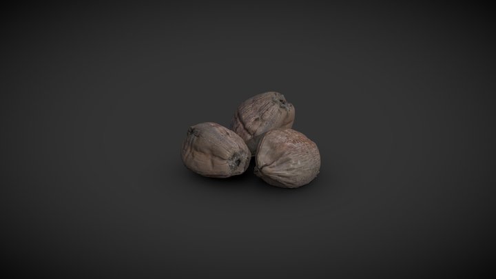 Papaya 3D Model