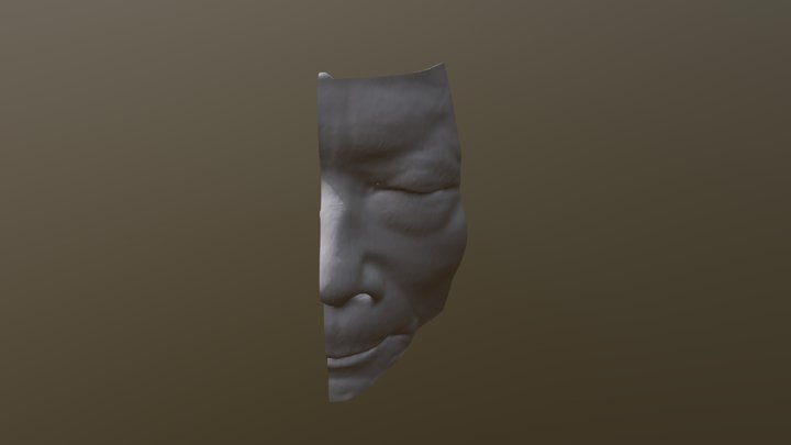 Head airway(nasal sinuses), Left side 3D Model