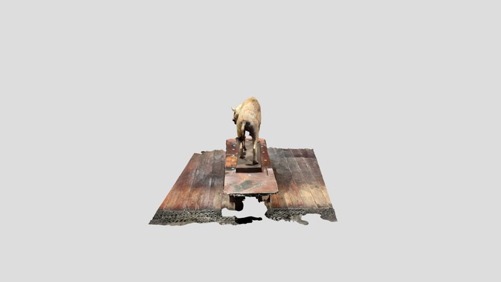 Hyena NMI 3D Model