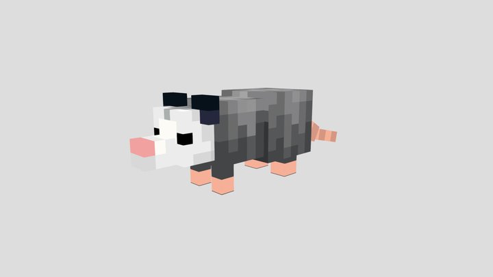 Minecraft Opossum 3D Model